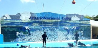 The National Aquarium of Cuba